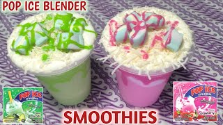 CARA MEMBUAT SMOOTHIES POP ICE BLENDER  TIPS JUALAN UNTUNG MELIMPAH [upl. by Hershel844]