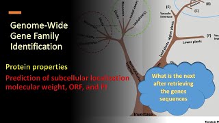 Protein properties Prediction of subcellular localization molecular weight ORF Isoelectric Point [upl. by Adnoloy]