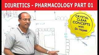 Diuretics  Pharmacology  Part 13 [upl. by Neladgam935]