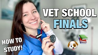 Overview of the St Georges University School of Veterinary Medicine Program [upl. by Irtimid]