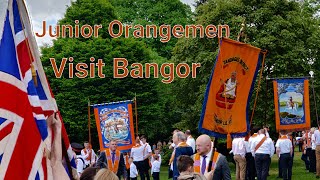 Junior Orangemen parade in Bangor 27 May 2023 [upl. by Romo]