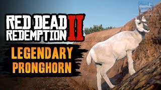 Red Dead Redemption 2 Legendary Animal  Legendary Pronghorn [upl. by Carmita]