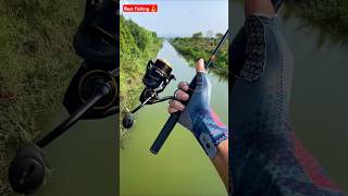 Style of Fishing🪝 fishing boat  ytshorts shorts fishing fishinghooks viralreels AGGACHOKRO [upl. by Yekcim]