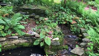 Garden at the Historic Mauldin House [upl. by Oirretno]