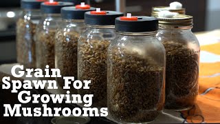 How to Make Grain Spawn For Growing Mushrooms [upl. by Eded]