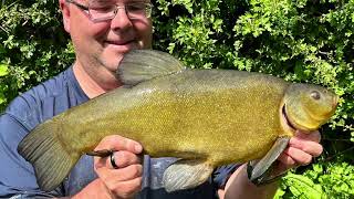 Tenchfishers Oxfordshire Region Fishin Oxlease Lake 2024 [upl. by Elidad]