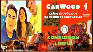 TUTORIAL DE ENCENDIDO BRIQUETAS CARWOOD [upl. by Aspia]