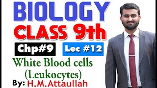 White blood cell  leukocytes  Smart syllabus  Chapter 9  9th class Biology  Lec 12 [upl. by Nosnibor]