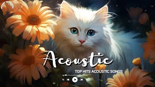 Acoustic Chill Music to Clear Your Mind  Hope you have the best chilling time 🥀 3AM Acoustic [upl. by Bluma107]