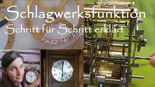 So funktioniert das Schlagwerk einer mechanischen Uhr SchlagGongFunktionsweiseFunktionchime [upl. by Erund156]