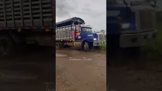 Super Brigadier GMC Trocheros Trucks TrocherosTrucks trucks colombia vichada gmc [upl. by Jobie51]