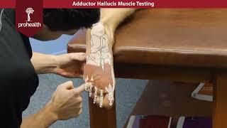 Adductor Hallucis Muscle Test Palp Dr Vizniak Muscle Manual [upl. by Sabas]