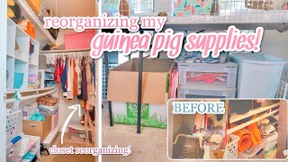 REORGANIZING MY GUINEA PIG SUPPLIES 🧹🧼🐽 [upl. by Hsot754]