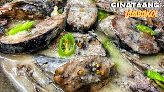 GINATAANG TAMBAKOL or TULINGAN Tuna Fish in Coconut Milk Recipe  Tambakol sa Gata [upl. by Nylirret]