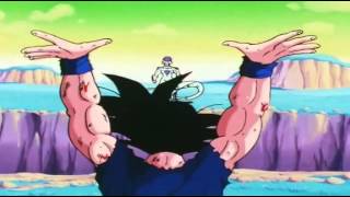 DBZ 29 Parodia Abridged Resumida Fandub Español Latino [upl. by Kreitman]