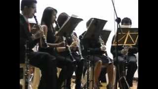 Weber  Clarinet Concerto Nº 1 Yeison Johan Monsalve [upl. by Aubarta753]