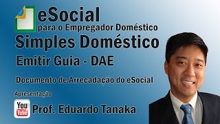 eSocial  Simples Doméstico  Emitir Guia DAE [upl. by Eijneb702]