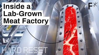 Largescale labgrown meat Step inside a cultivated meat factory  Hard Reset [upl. by Rehpotsirc]