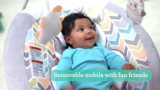 FisherPrice My Little Snugapuppy Deluxe Bouncer [upl. by Shiri]