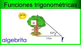 Encontrar la altura de un árbol en base a su sombra proyectada Funciones trigonométricas 367 [upl. by Innus]