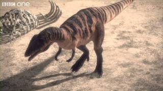 Carcharodontosaurus  Planet Dinosaur  Episode 1  BBC One [upl. by Wolfram]