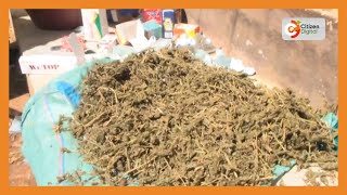 Police seize 10 kilograms of bhang in Tana River [upl. by Glenn]