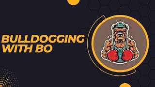 BULLDOGGING WITH BO BOXING AND BULLDOGS [upl. by Triley]