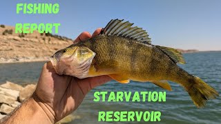 Starvation Reservoir Fishing Report [upl. by Retseh]