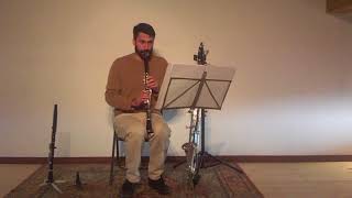 Clarinet orchestral excerpts  Rimsky Korsakov Le coq dor [upl. by Yeniar]