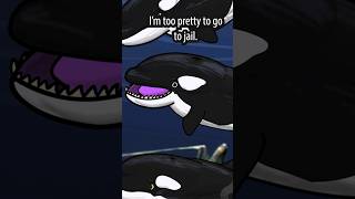 Is this Orca too pretty to go to jail Livyatan weighs in [upl. by Elisabeth]