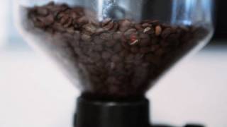 How to Buy Coffee Beans  Perfect Coffee [upl. by Atihana880]