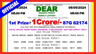 Nagaland Lottery 8pm 060924  डिअर लॉटरी रिजल्ट [upl. by Oremo]