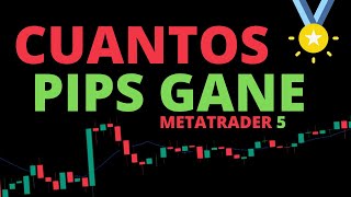 🤨¿Como medir los pips ganados 💻METATRADER 5 [upl. by Itnahsa700]