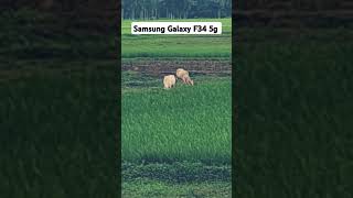 Samsung Galaxy F34 5g Videoytshorts shorts [upl. by Erbua]