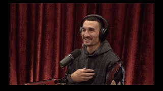 JRE MMA Show 155 with Max Holloway [upl. by Danita]