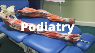 Podiatry Facilities Tour [upl. by Pelagi]