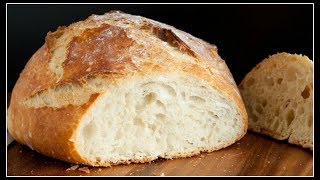 No Knead Crusty BreadDutch Oven Style [upl. by Ettena803]