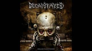 Decapitated Organic Hallucinosis 2006 Full Album [upl. by Ynattib212]