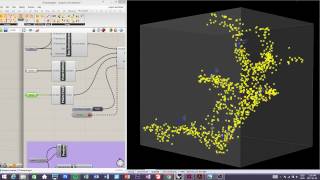 Physarum polycephalum simulation 5 [upl. by Akerdnuhs]