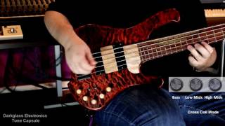 39 Custom Guitars CK Canorous Demo [upl. by Ahker]