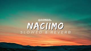 Naciimo  slowed  reverb  Qoomaal Classic somali song ❤️ [upl. by Bosson]