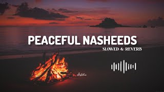 quotPeaceful Nasheedsquot By Muhammad Al Muqit  SpedupSlowed amp reverb  Arabic Nasheeds collection 2024 [upl. by Flavio948]