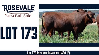 Lot 173 Rosevale Maverick U480 P [upl. by Adamina]