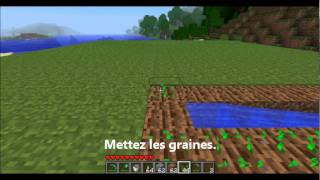 Minecraft  Faire pousser du blé [upl. by Haroppiz]