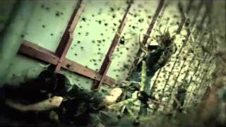 Machine Head  Locust OFFICIAL VIDEO [upl. by Nilcaj]