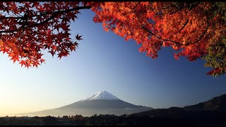 3 HOURS of the Best Traditional Japanese Music  Relaxing Music for Stress Relief and Healing [upl. by Biddle]