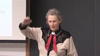 Temple Grandin  Determining Insensibility and Unconsciousness in Cattle Pigs and Sheep [upl. by Goldshell]