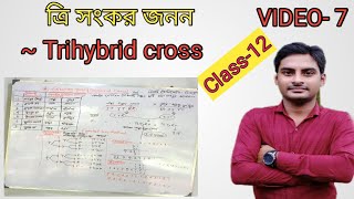 Trihybrid crossত্রি সংকর জনন AaBbCc × AaBBCc AABbCC×AaBBCC BengaliGenotype and phenotype [upl. by Eeluj]