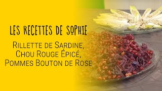 Les Recettes de Sophie  Rillette de Sardine Chou Rouge Épicé et Pommes Bouton de Rose 🐟😋🍏 [upl. by Nonah]