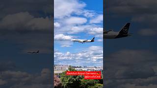 Top amp Smooth Lufthansa Plane Landing at Airport Frankfurt Germany viral fra perfact [upl. by Eile851]